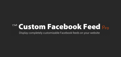 1534163522_custom-facebook-feed-pro.png